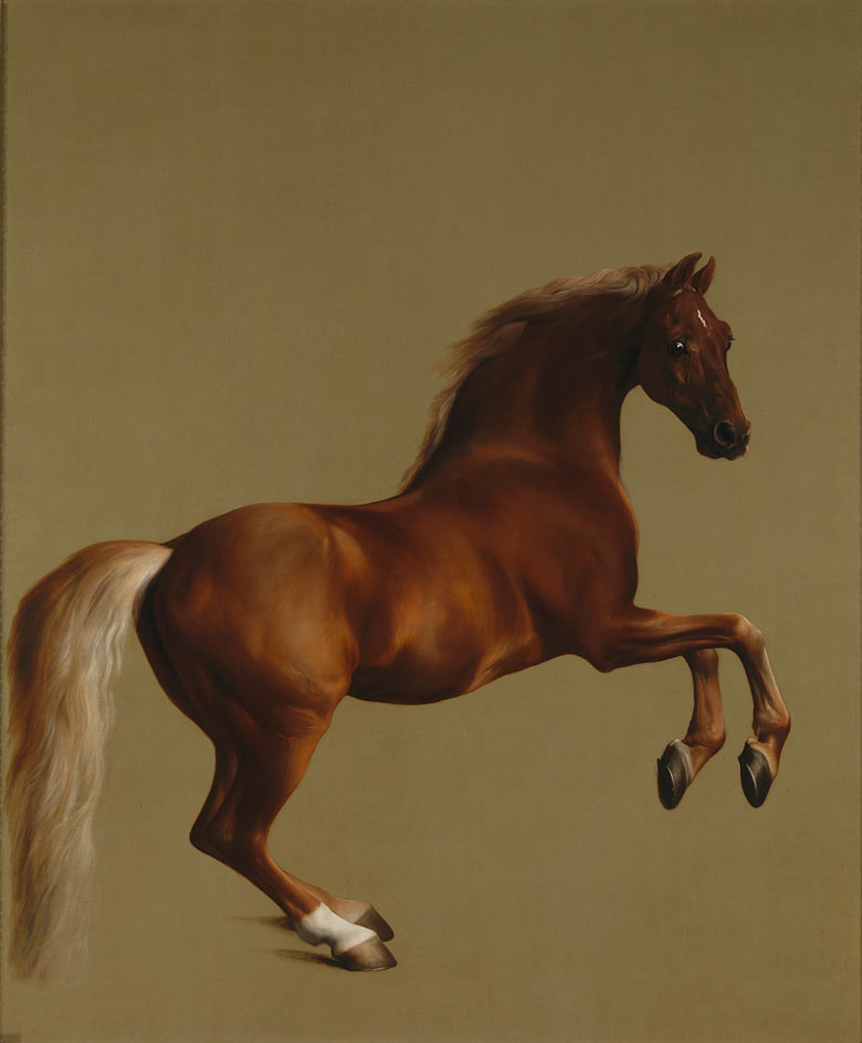 Whistlejacket, George Stubbs, 1762, huile sur toile, Londres, National Gallery.