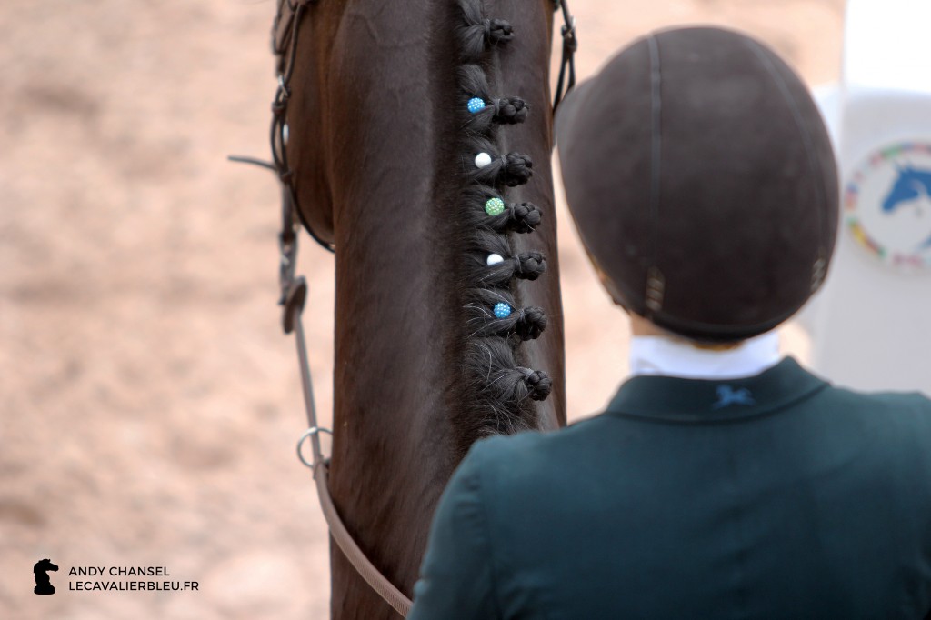 Winter Equestrian Festival - Wellington 2016