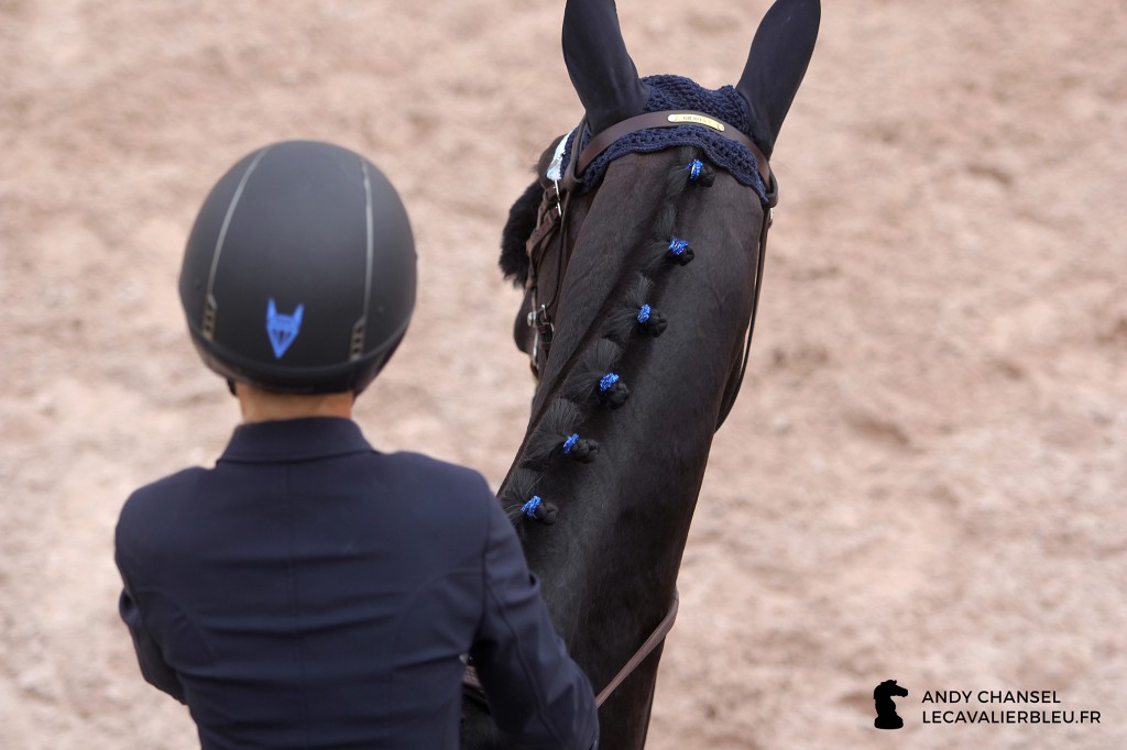 Winter Equestrian Festival - Wellington 2016