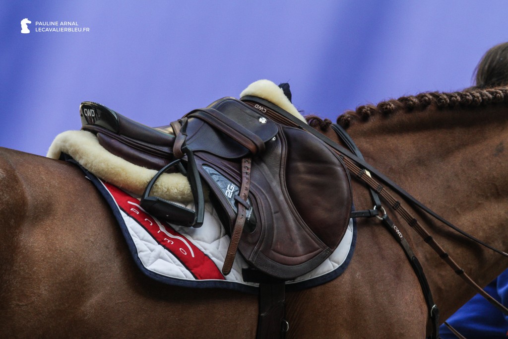 Saut Hermès 2016 © Pauline Arnal