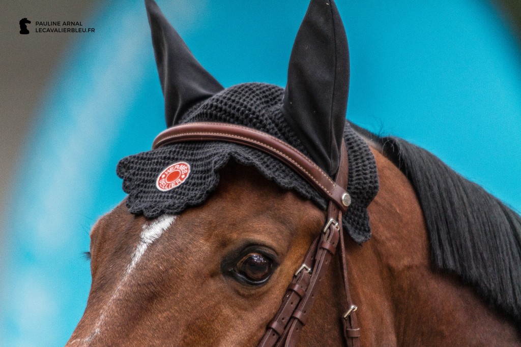 Saut Hermès 2016 © Pauline Arnal