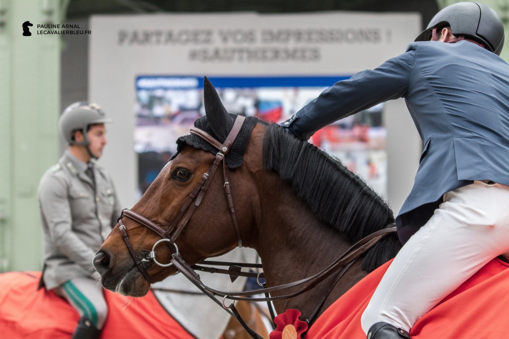 Saut Hermès 2016 © Pauline Arnal